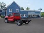2026 Ford Chassis Cab F-550® XL